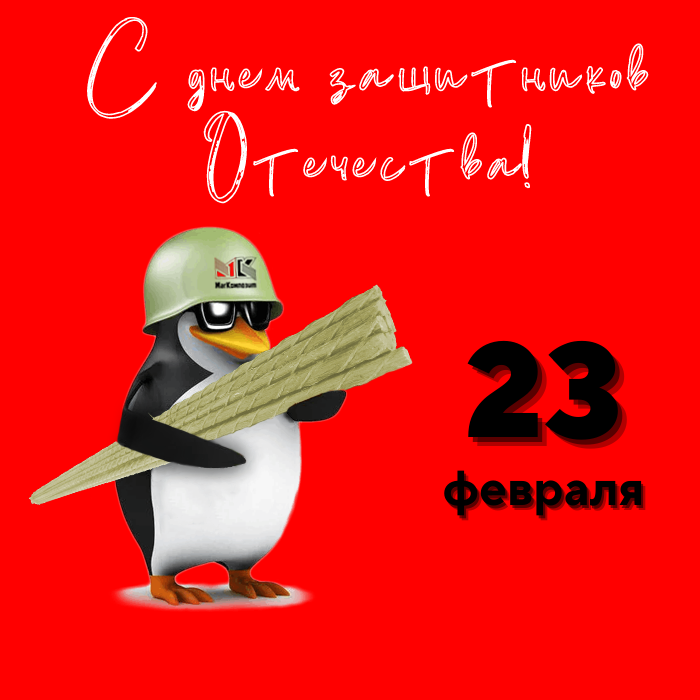 День защитников Отечества! День защитников Отечества!